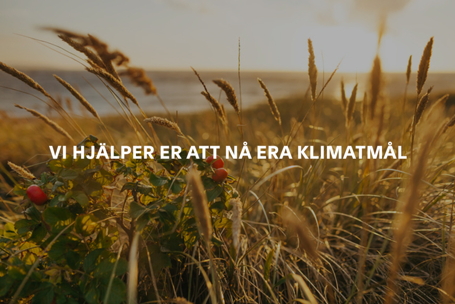 vi hjälper er nå era klimatmål | Inrego.